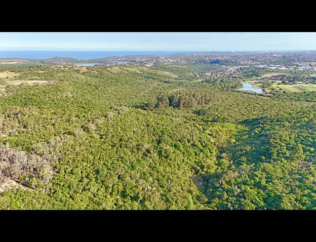 SMALLHOLDING FOR SALE IN QUENERA NORTH